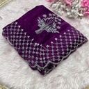 Handwork Zimmy Choo Saree