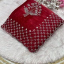 Handwork Zimmy Choo Saree
