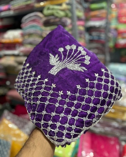 Handwork Zimmy Choo Saree